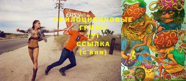 МДПВ Горняк